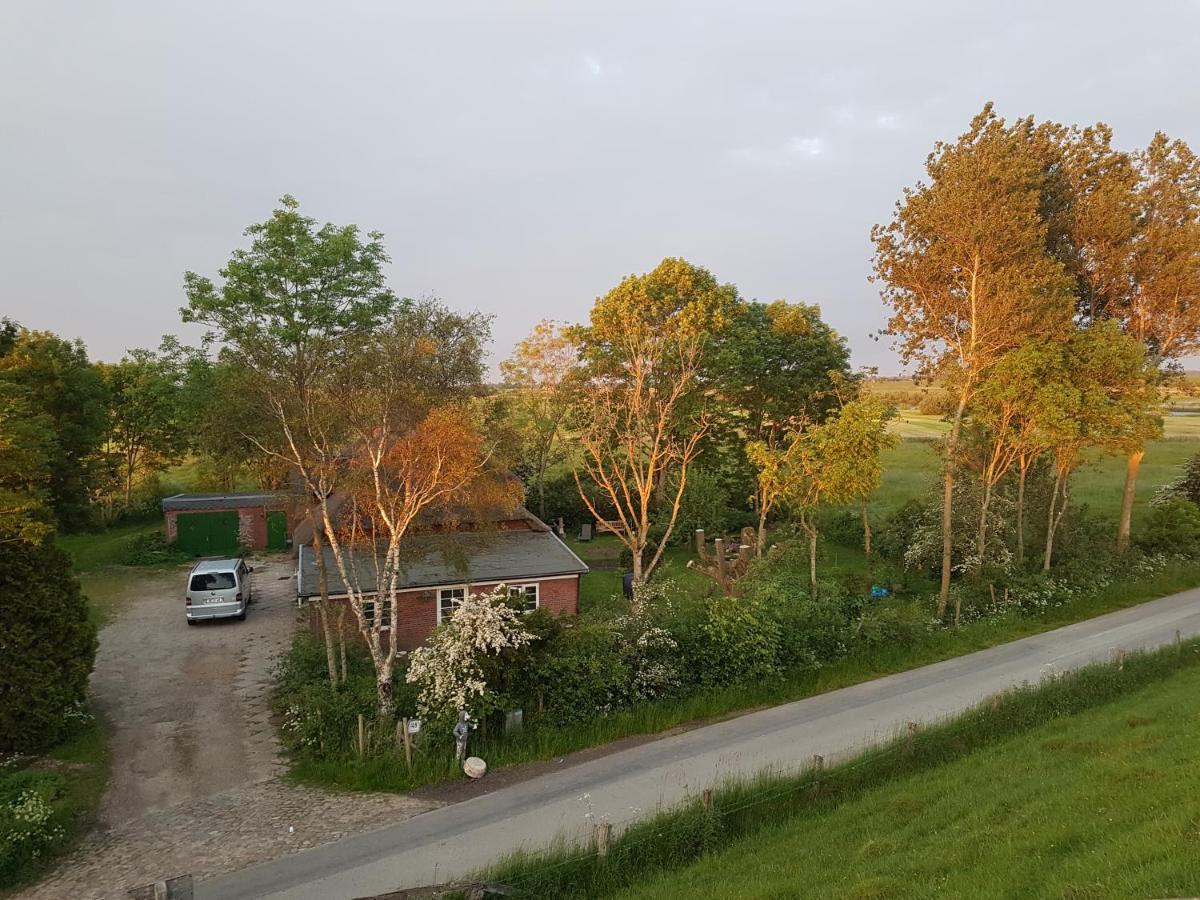 Ferienwohnung Diekblick - Kleiner Deichhof Hattstedtermarsch Exteriér fotografie