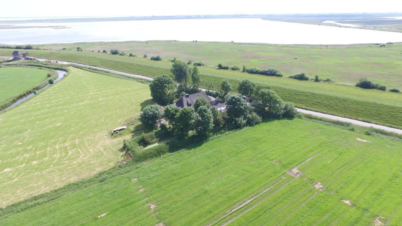 Ferienwohnung Diekblick - Kleiner Deichhof Hattstedtermarsch Exteriér fotografie